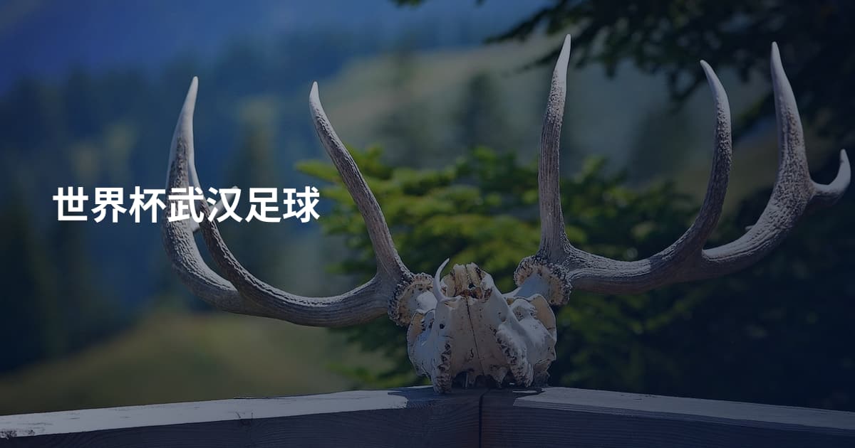 世界杯武汉足球