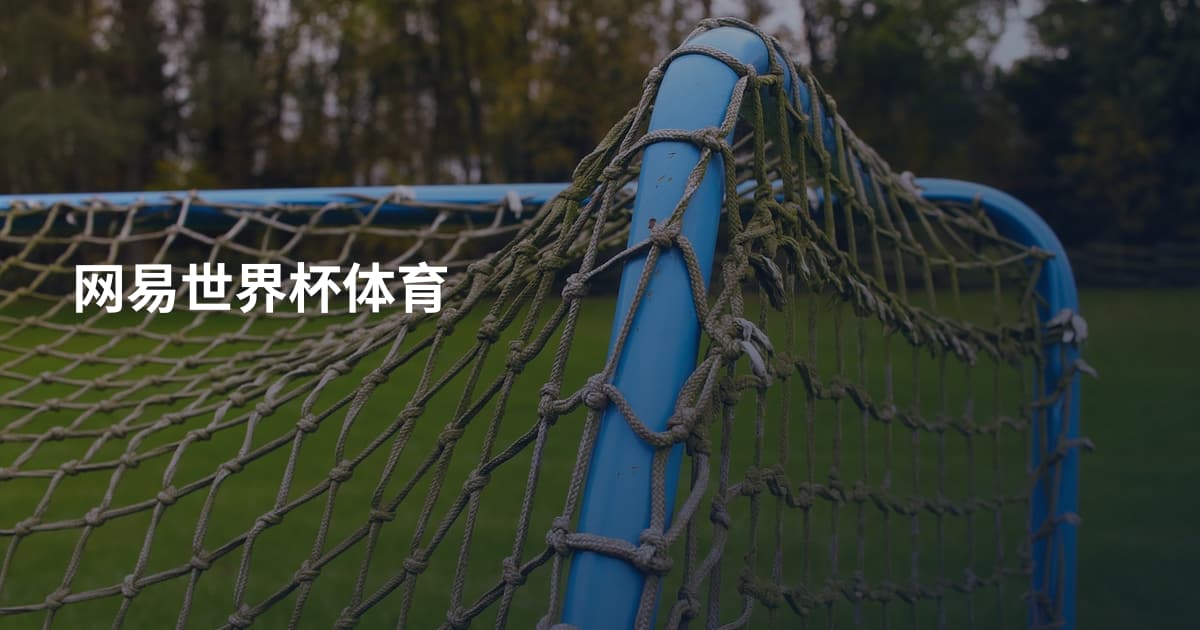网易世界杯体育