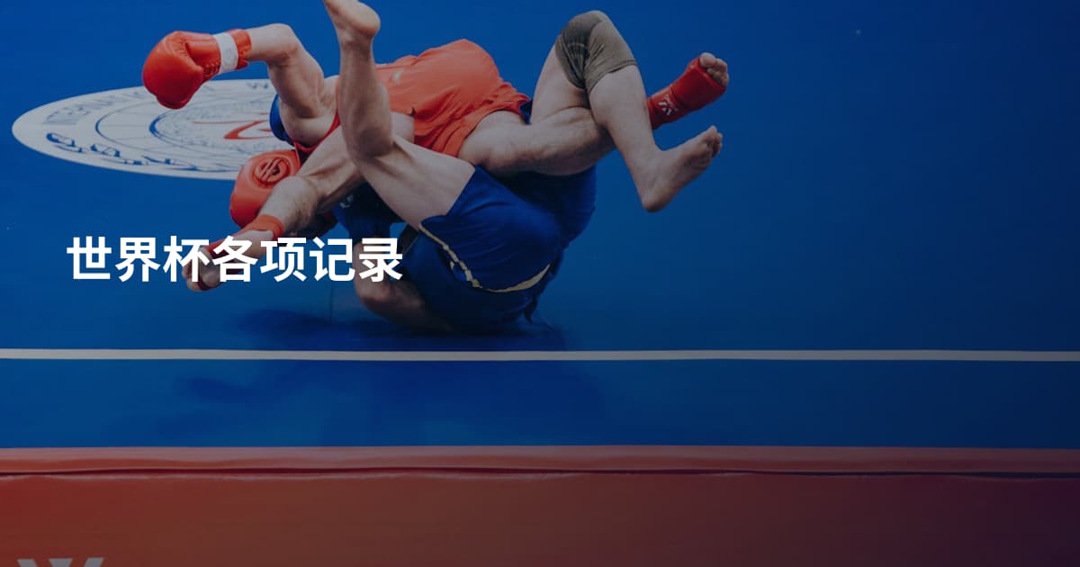 世界杯各项记录