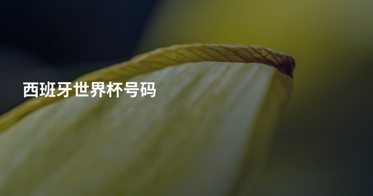 西班牙世界杯号码