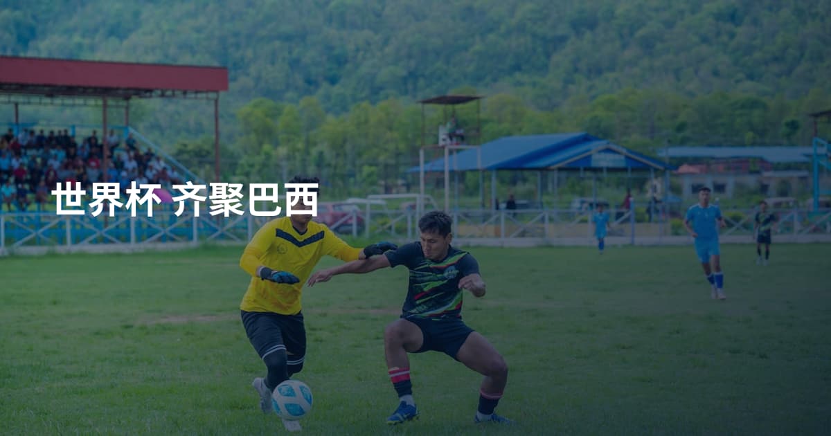 世界杯 齐聚巴西