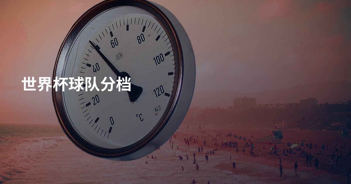 世界杯球队分档