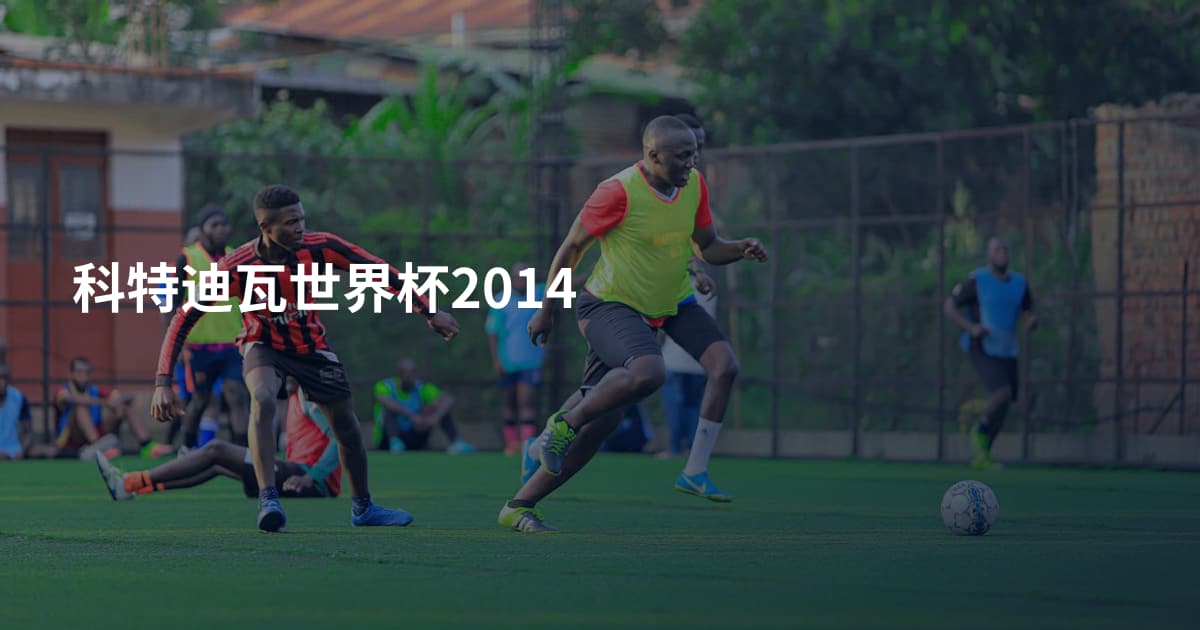 科特迪瓦世界杯2014