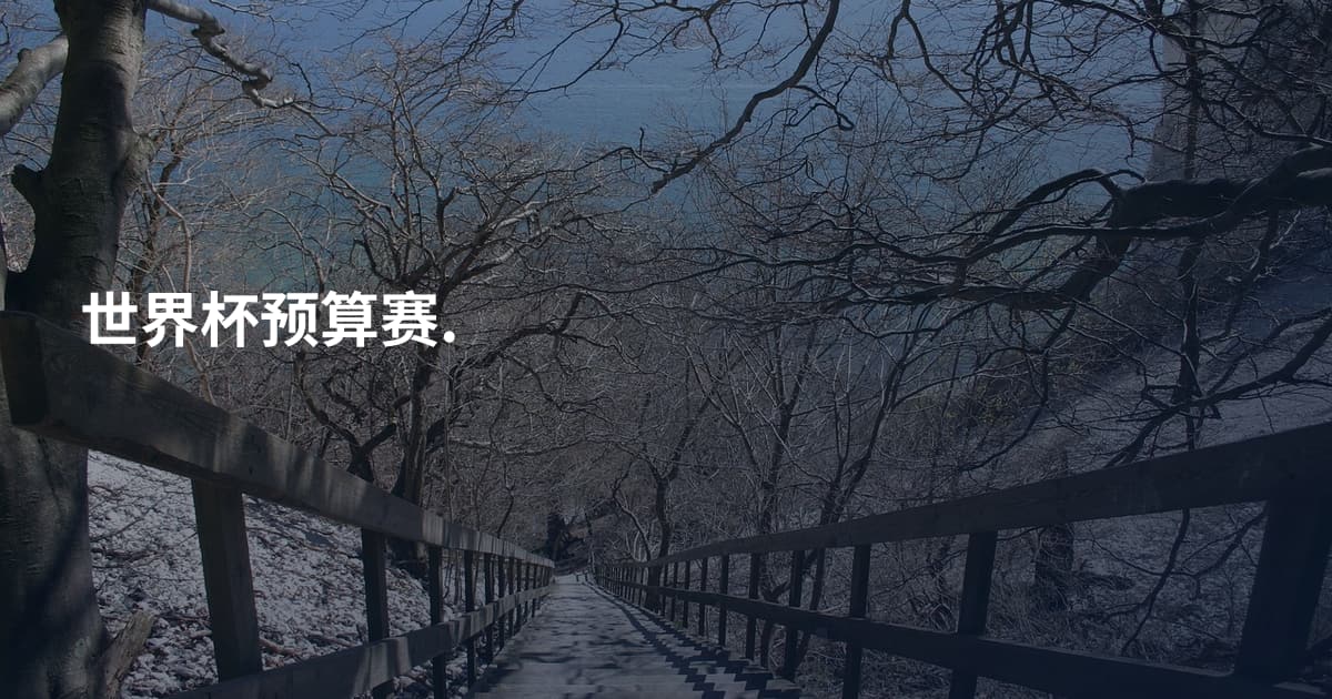 世界杯预算赛.