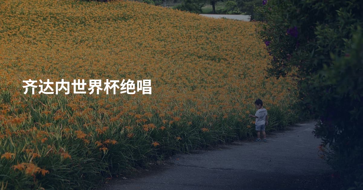 齐达内世界杯绝唱