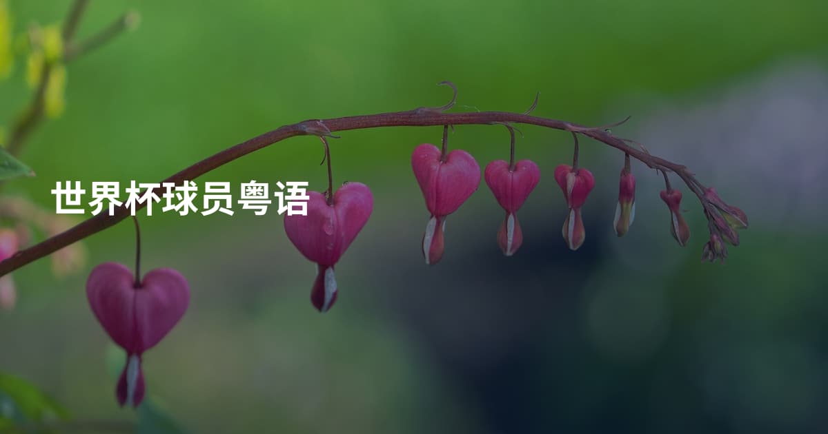 世界杯球员粤语