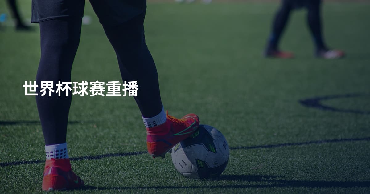 世界杯球赛重播