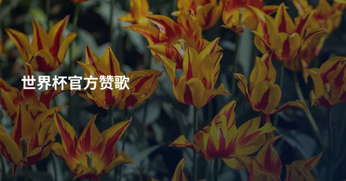 世界杯官方赞歌