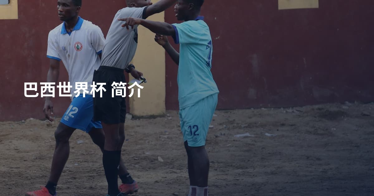 巴西世界杯 简介