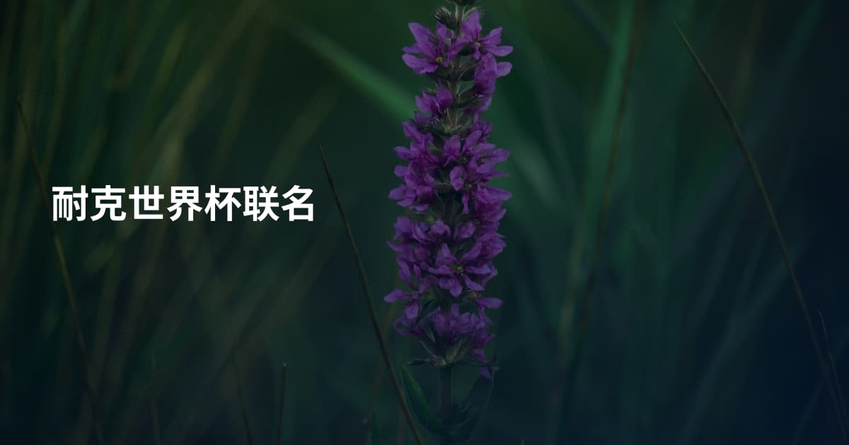 耐克世界杯联名