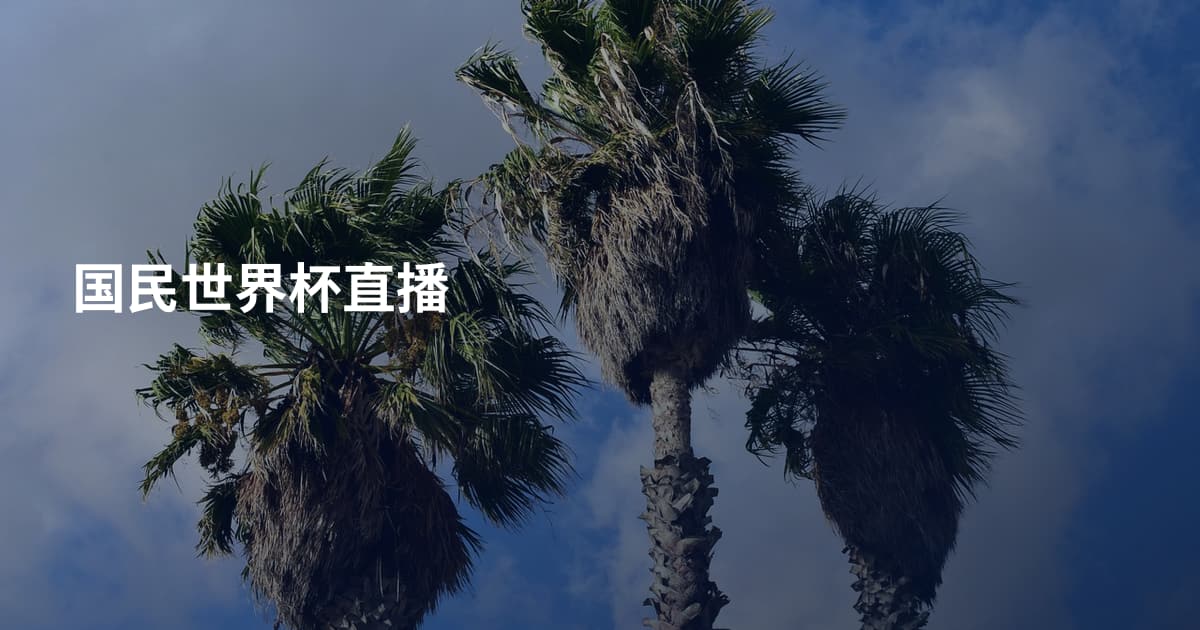 国民世界杯直播