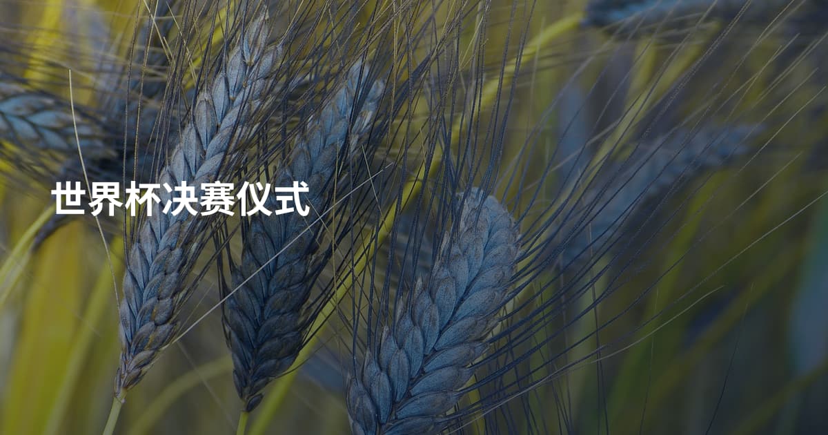 世界杯决赛仪式