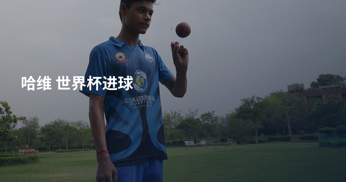 哈维 世界杯进球