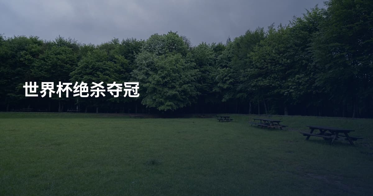 世界杯绝杀夺冠