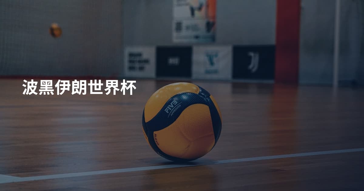 波黑伊朗世界杯