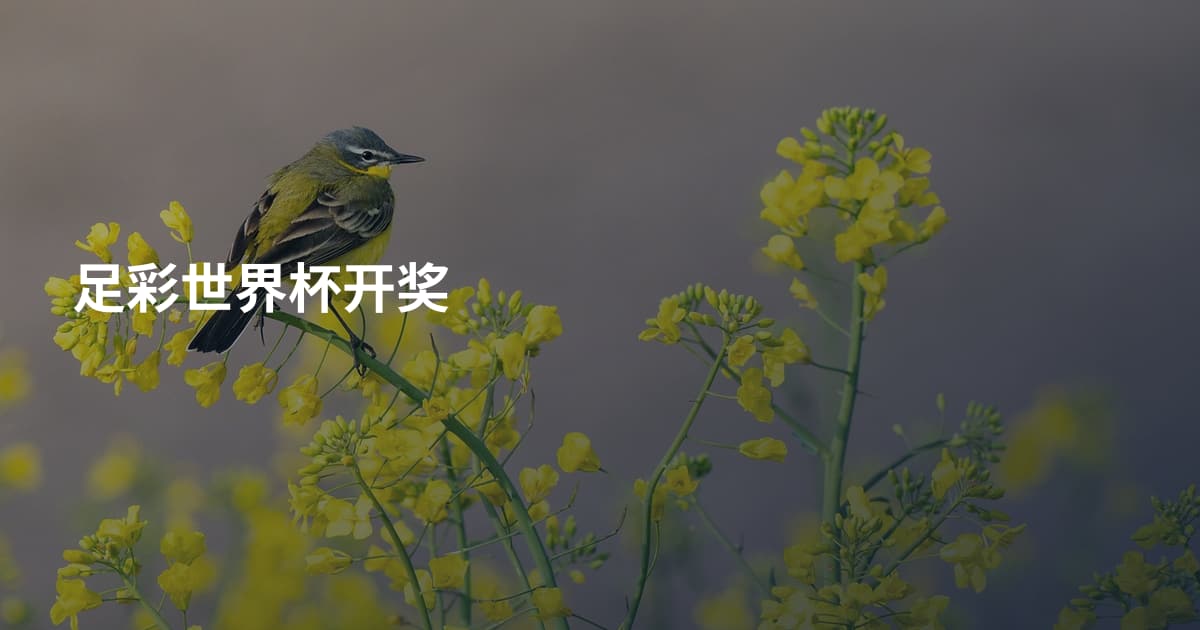 足彩世界杯开奖