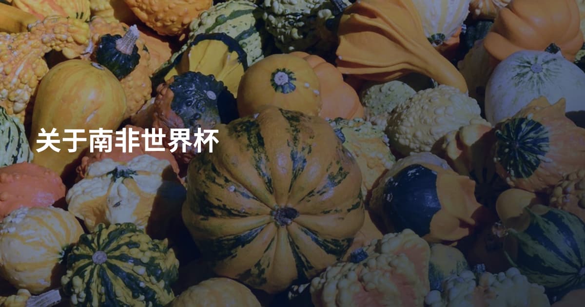关于南非世界杯