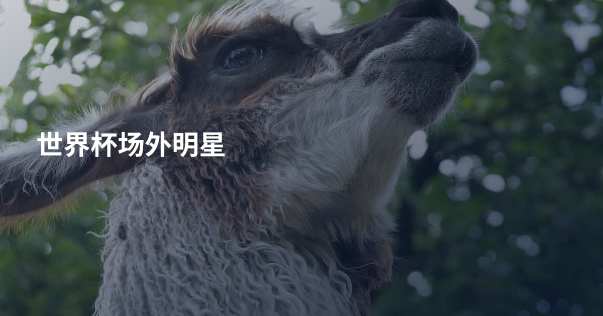 世界杯场外明星