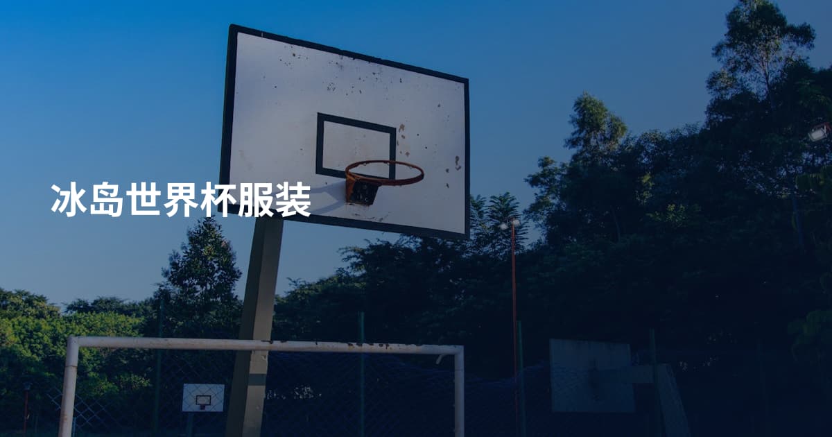 冰岛世界杯服装