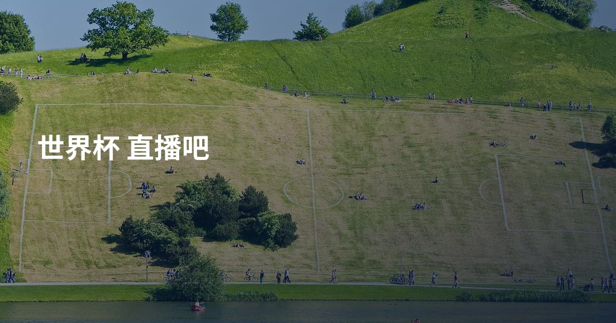 世界杯 直播吧