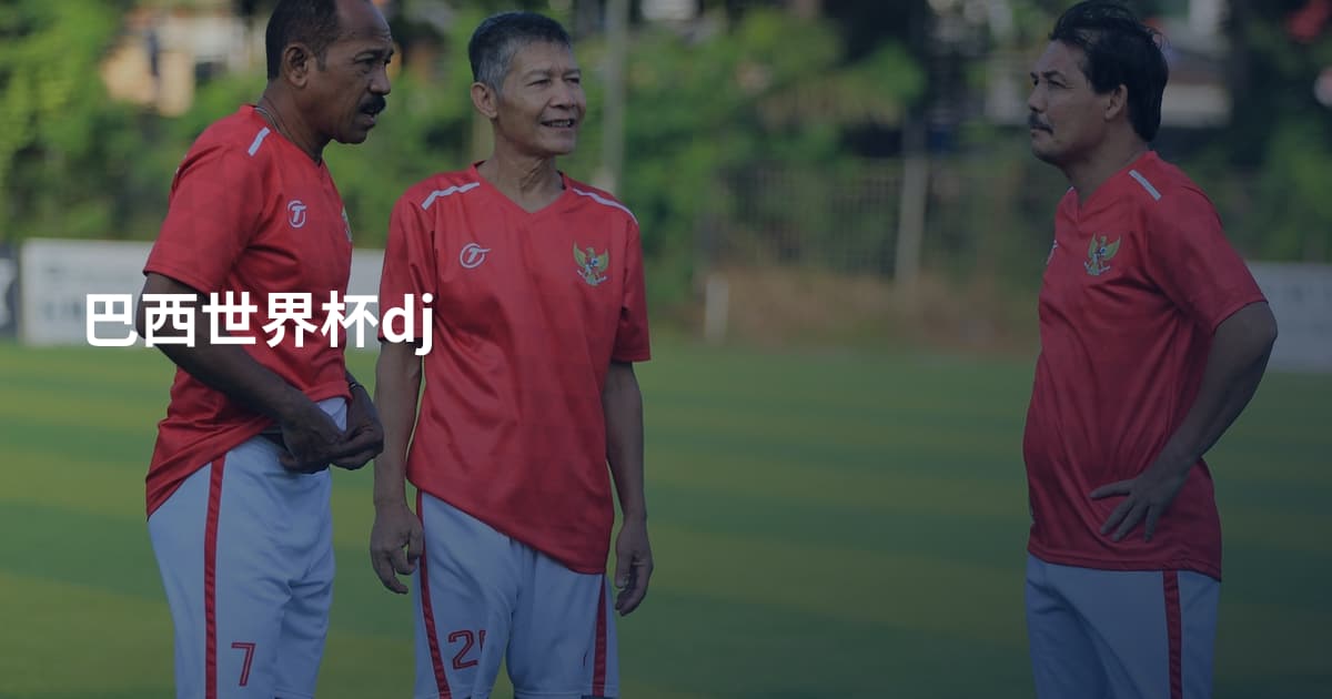 巴西世界杯dj