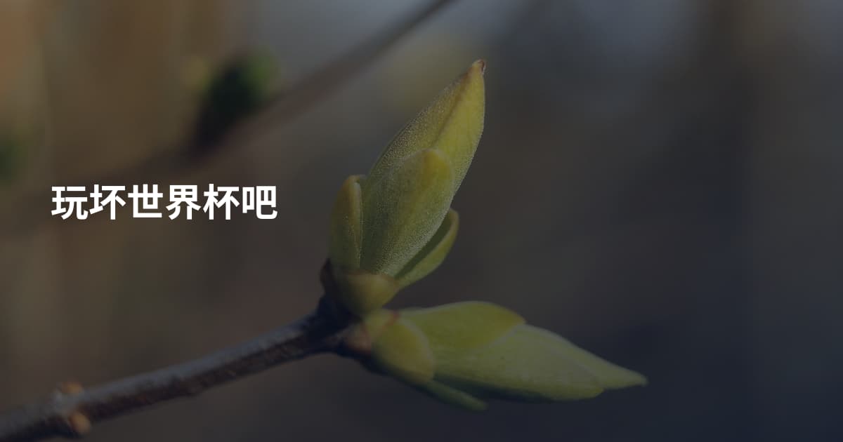 玩坏世界杯吧