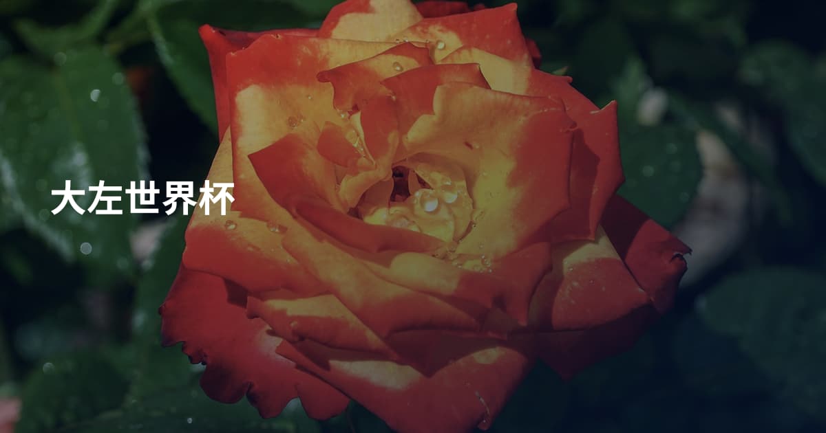 大左世界杯