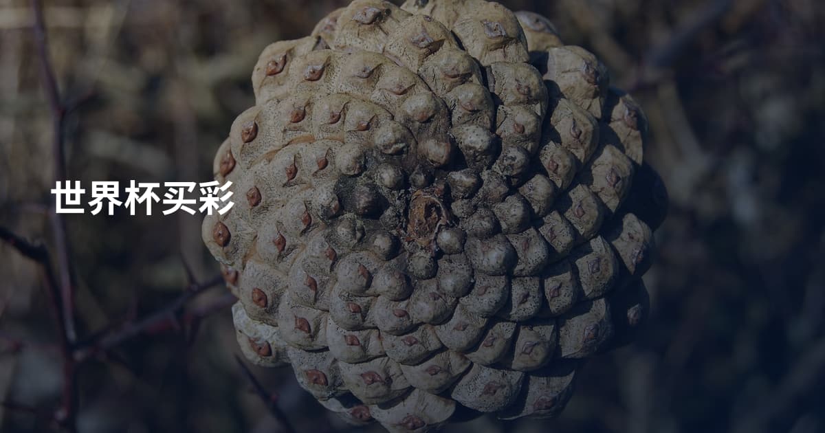 世界杯买彩