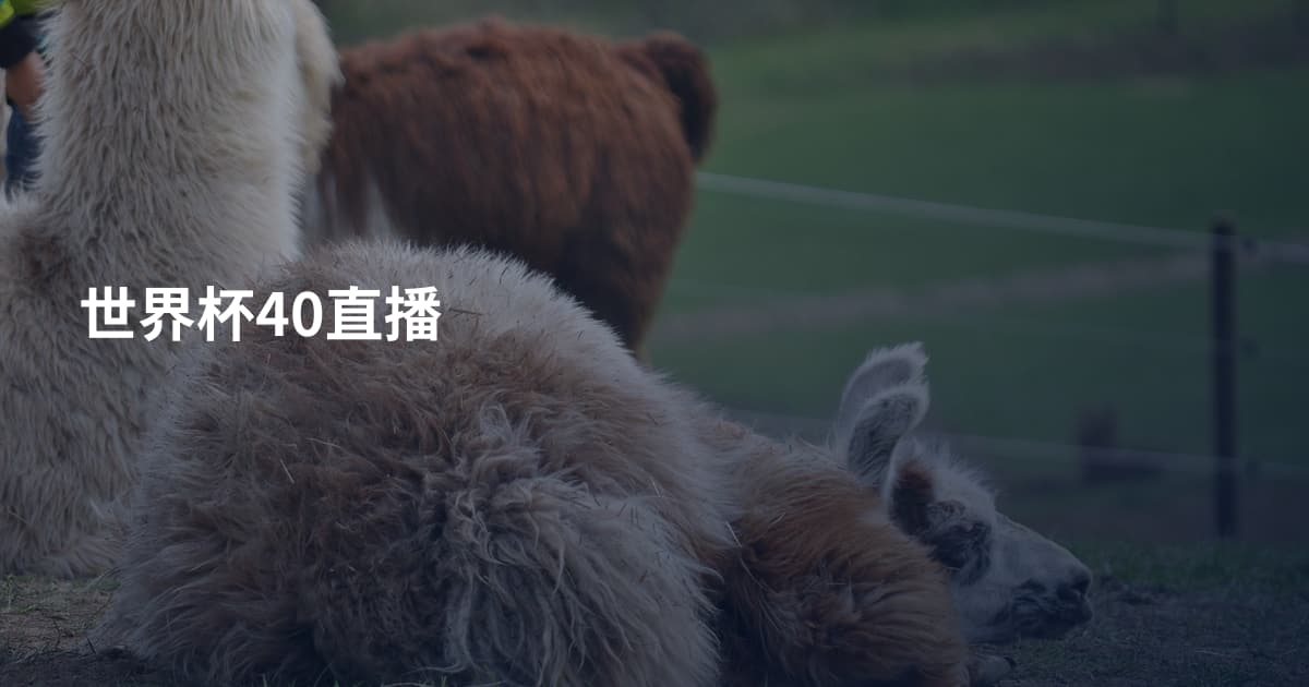 世界杯40直播