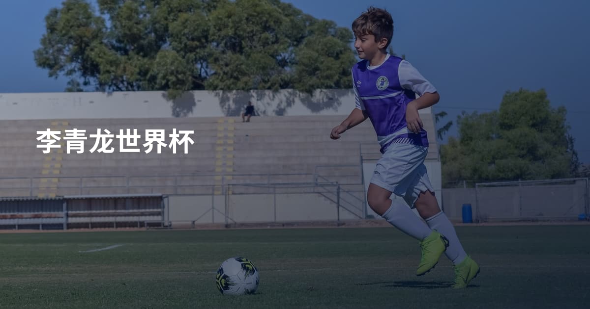 李青龙世界杯