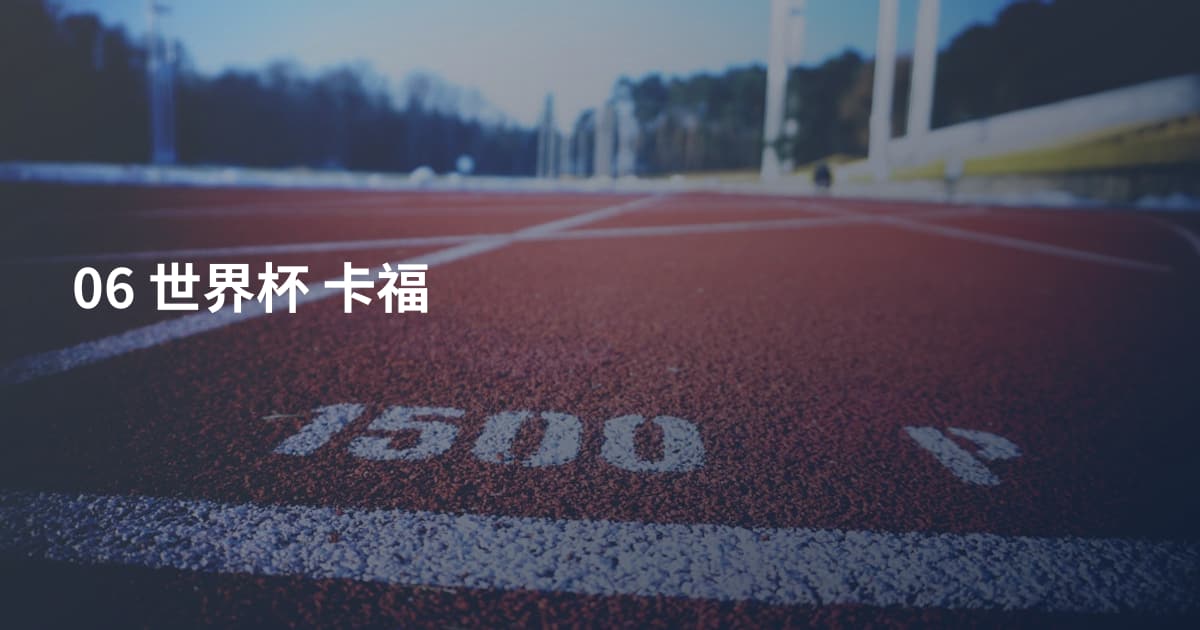 06 世界杯 卡福
