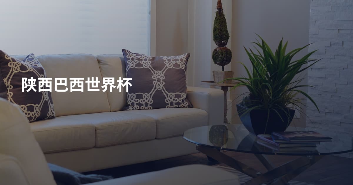 陕西巴西世界杯