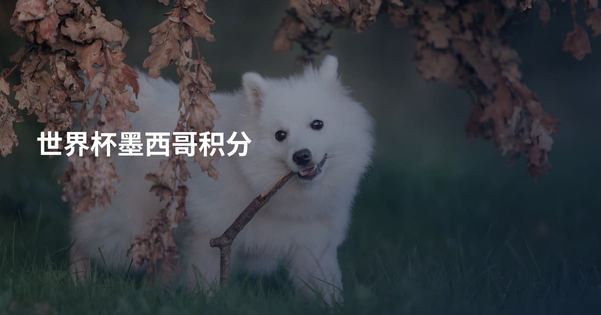 世界杯墨西哥积分