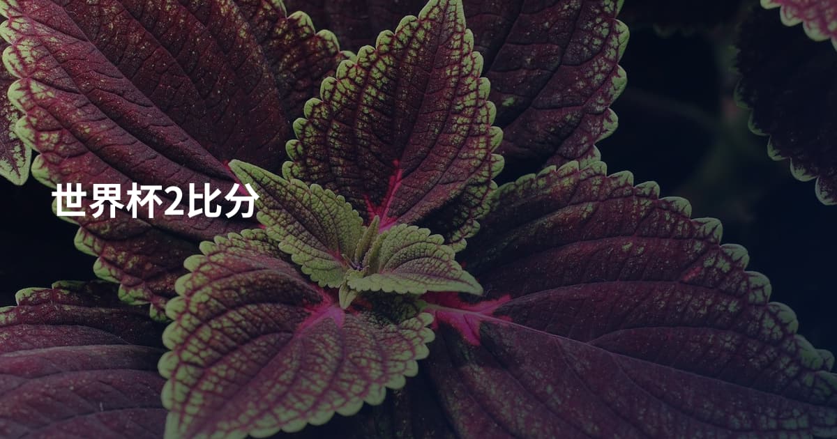 世界杯2比分