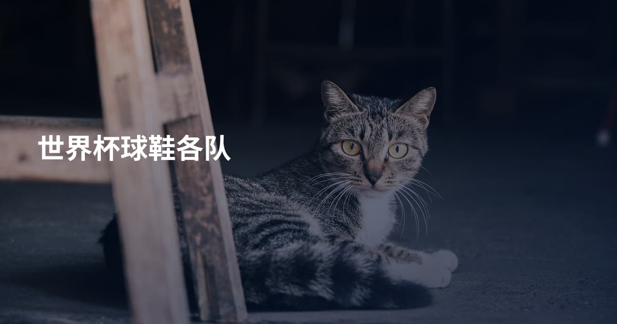 世界杯球鞋各队