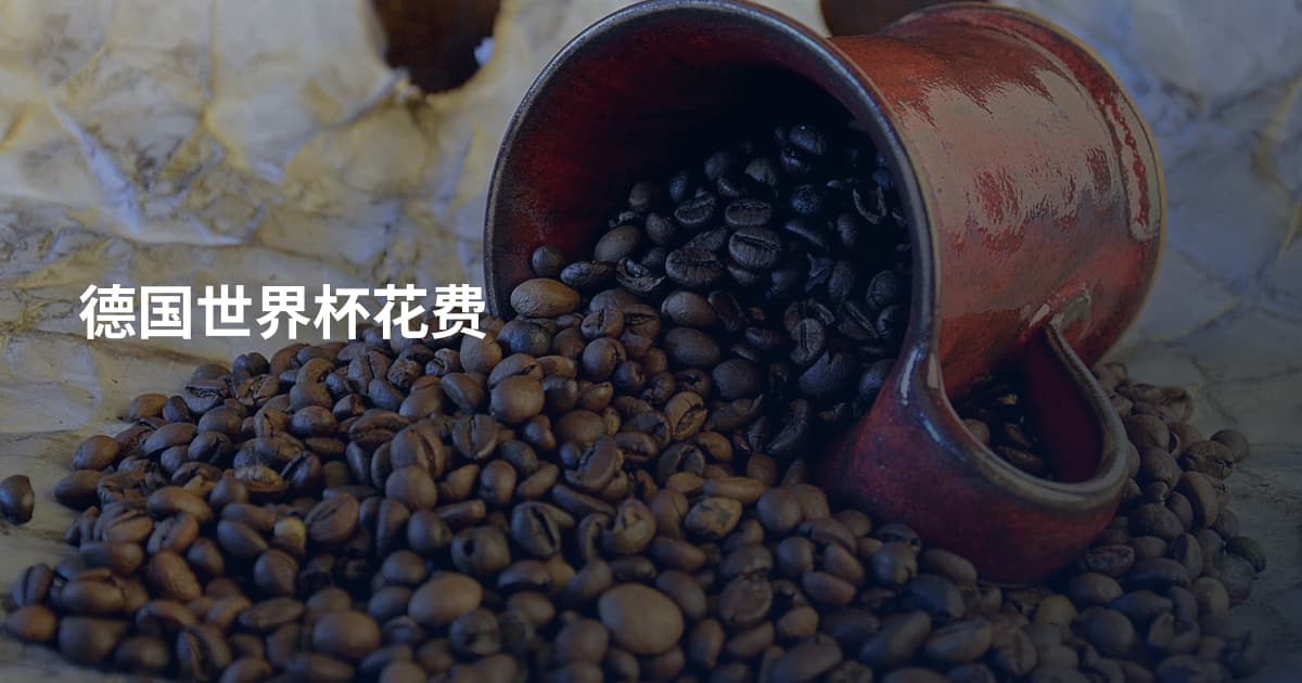 德国世界杯花费