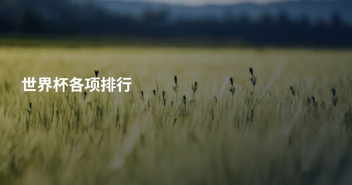 世界杯各项排行