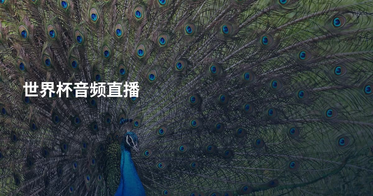 世界杯音频直播