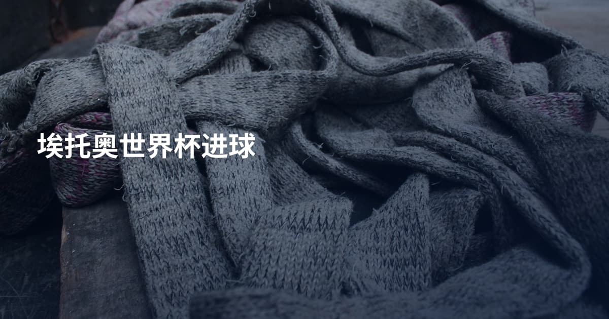 埃托奥世界杯进球