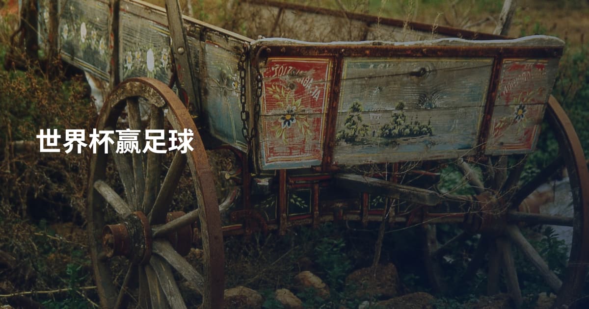 世界杯赢足球