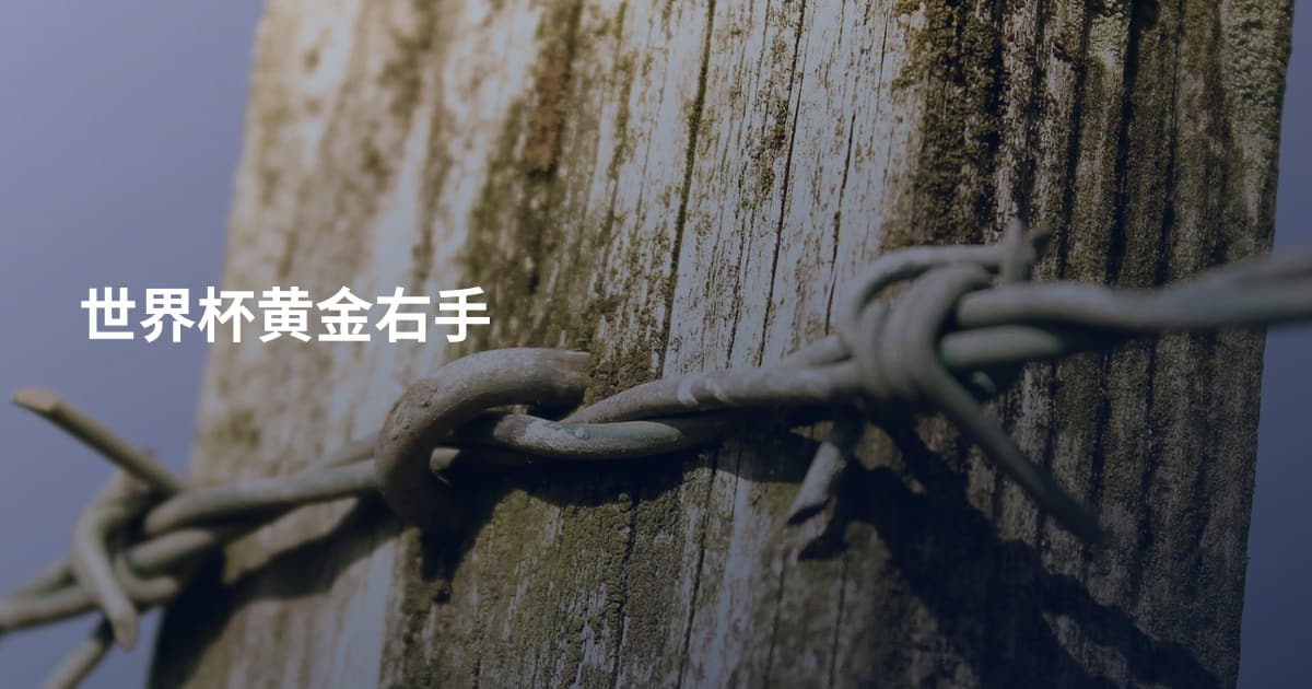 世界杯黄金右手