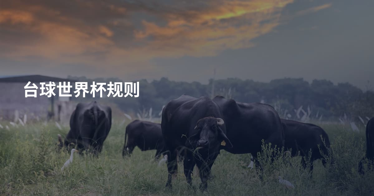 台球世界杯规则