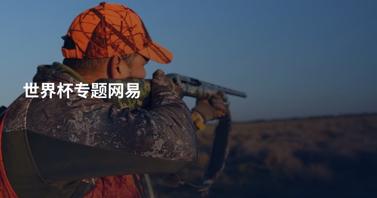 世界杯专题网易