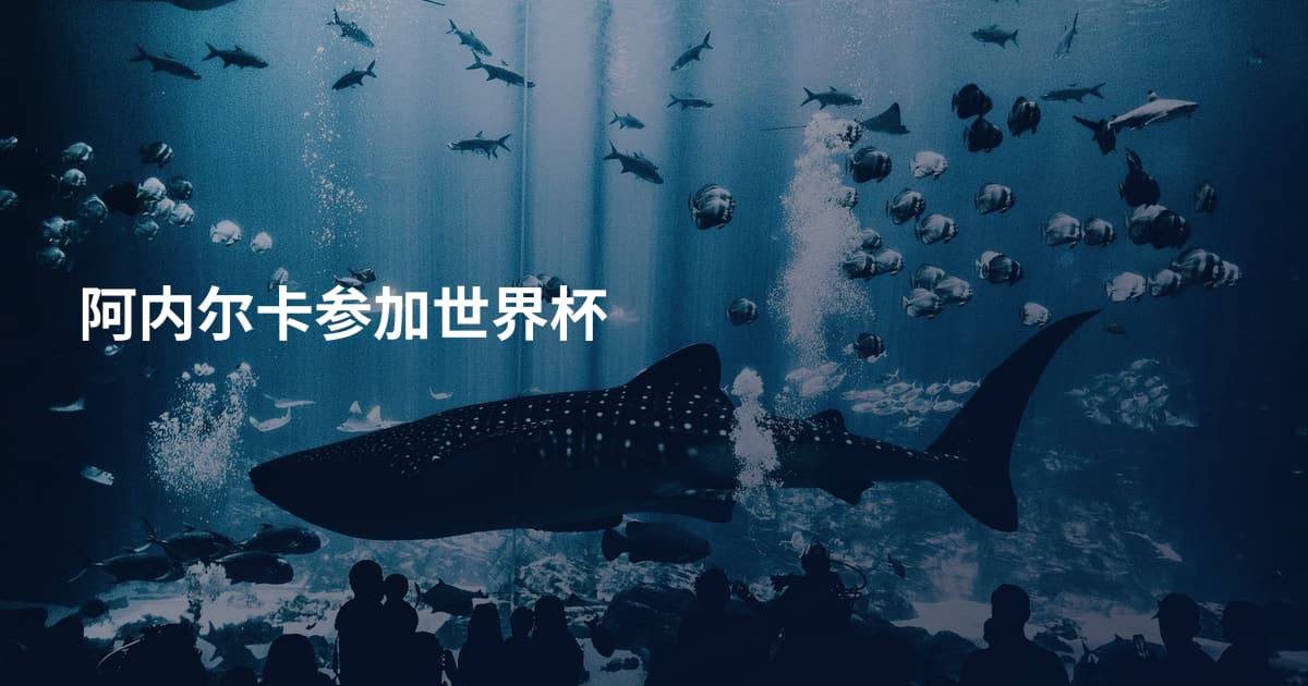 阿内尔卡参加世界杯
