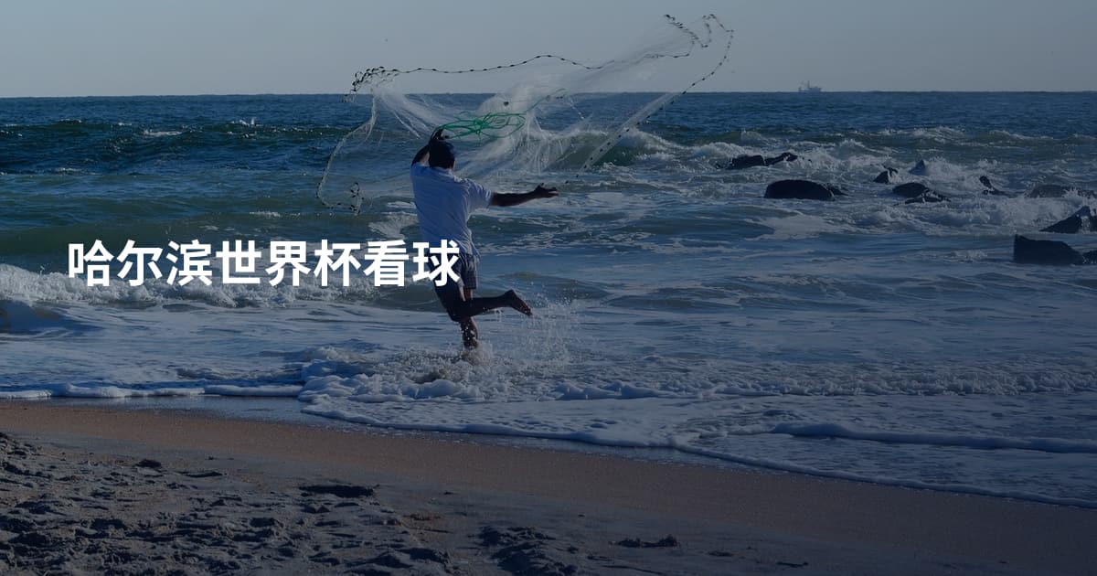 哈尔滨世界杯看球