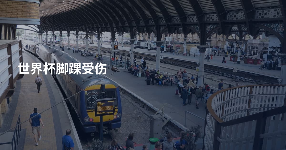 世界杯脚踝受伤