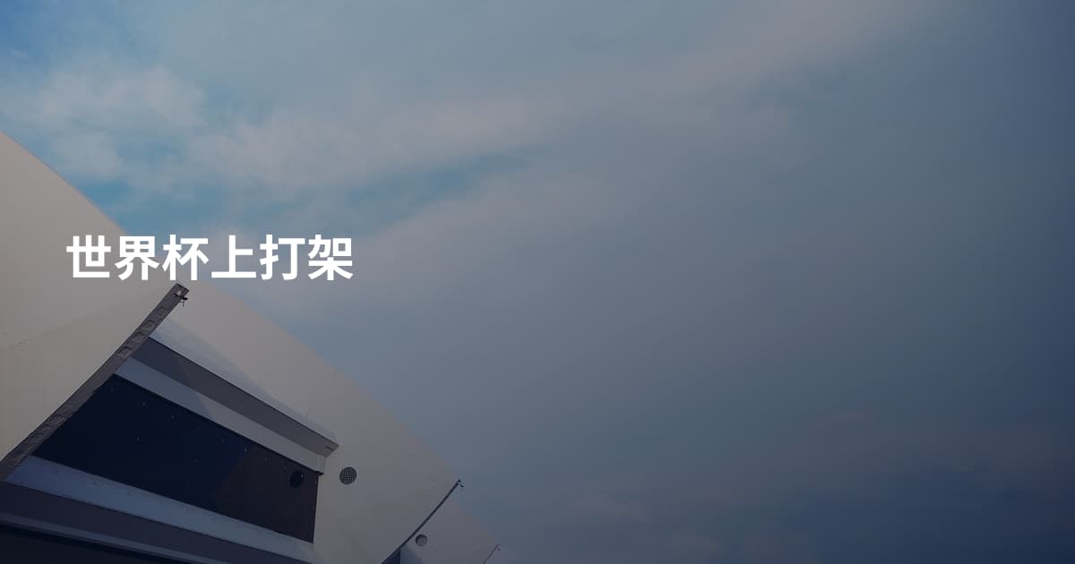 世界杯上打架
