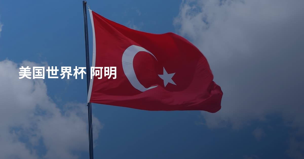 美国世界杯 阿明