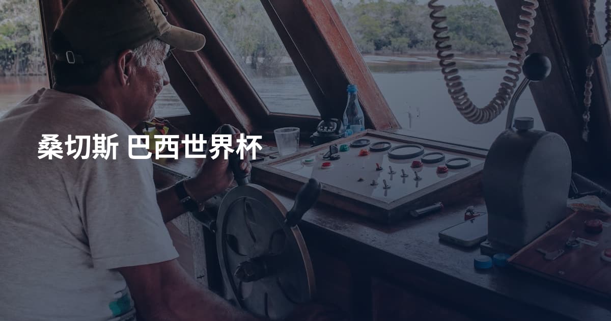 桑切斯 巴西世界杯