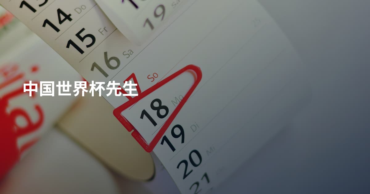 中国世界杯先生